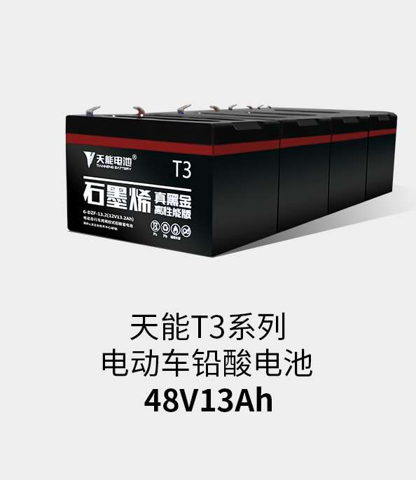 欧博abgT3系列48v13ah
