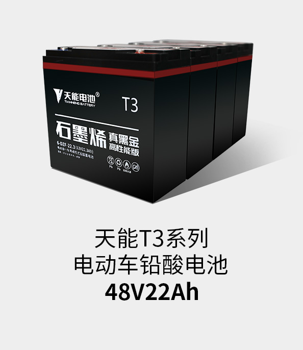 欧博abgT3系列48v22ah