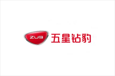 欧博abg电池合作伙伴 五星钻豹电动车